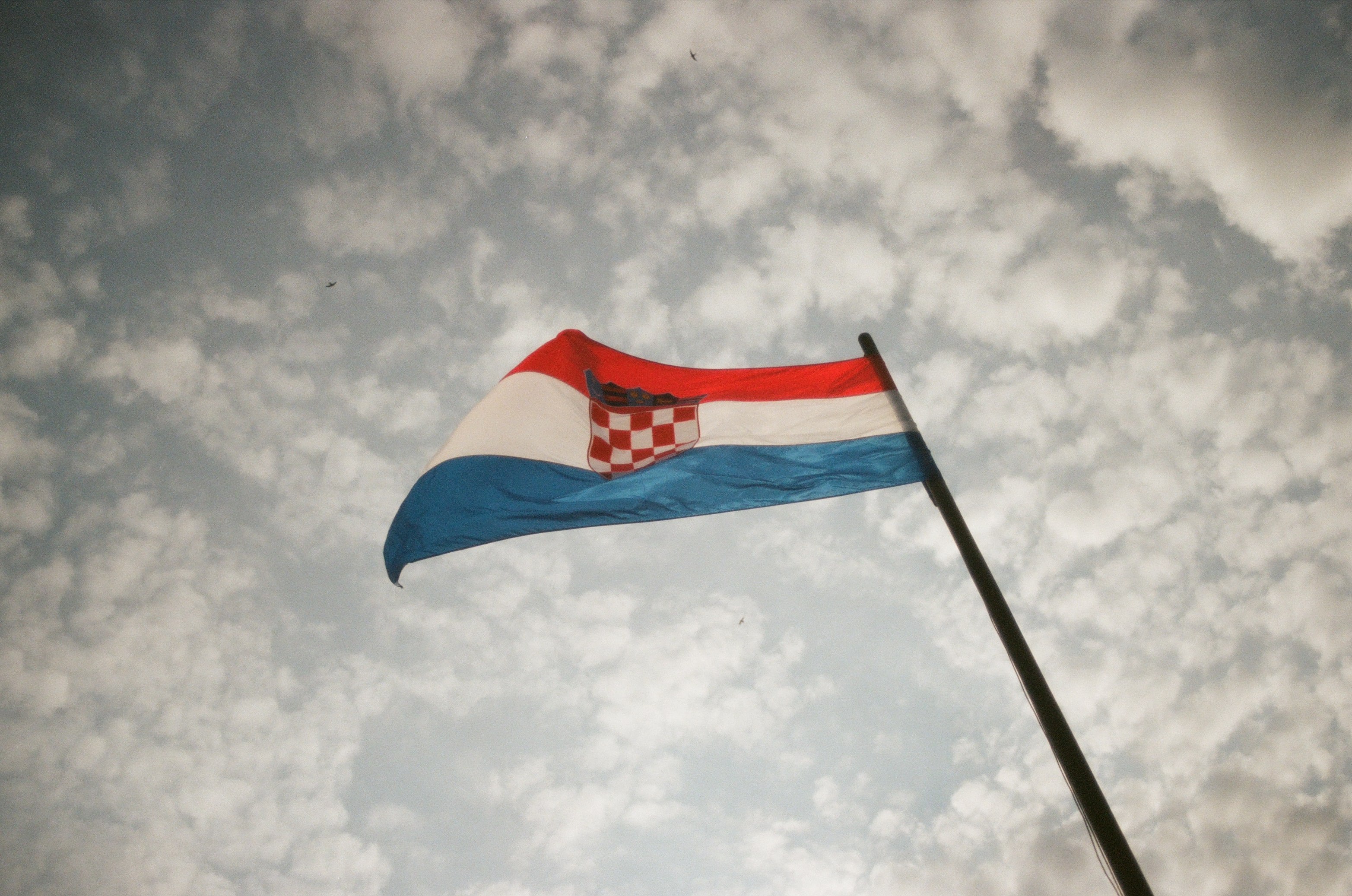 Insurance fraud and scams from Croatia